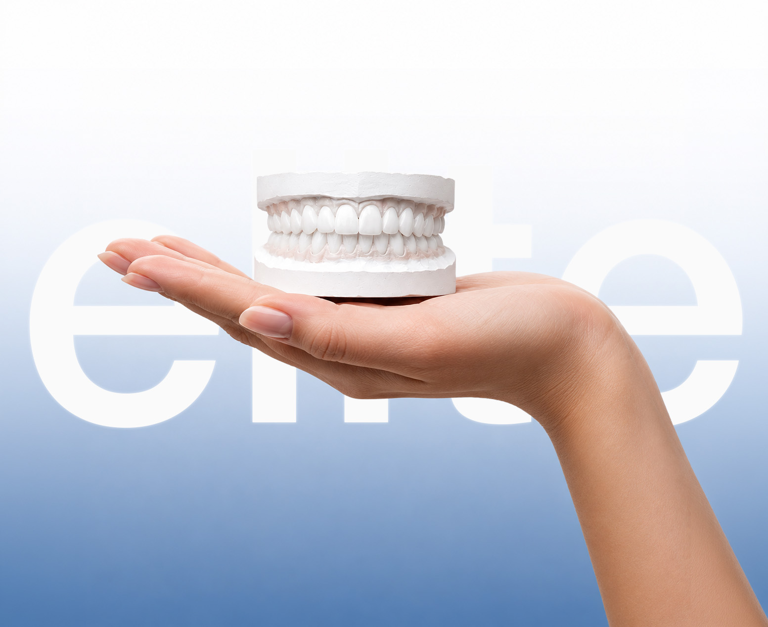 Expert Dental Solutions